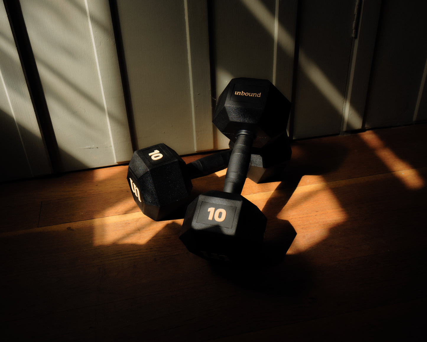 10kg (pair)