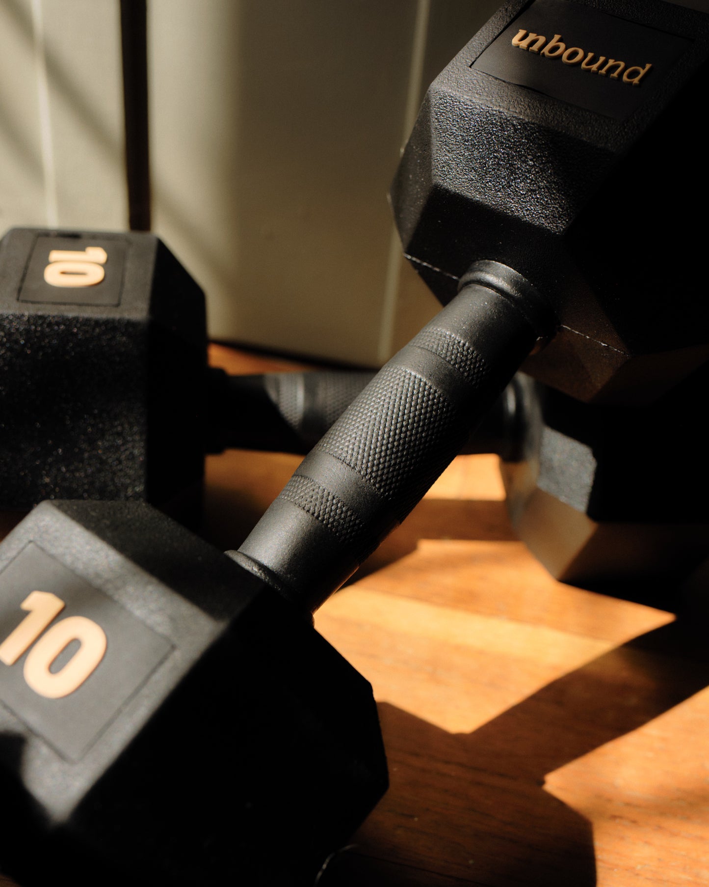 10kg (pair)