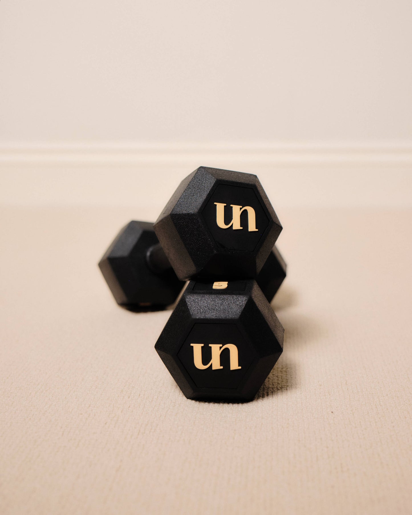 5kg (pair)