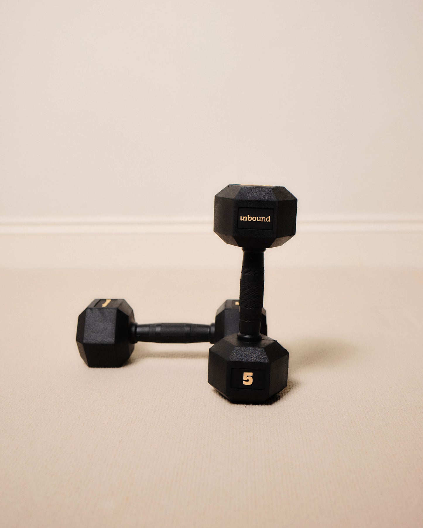 5kg (pair)