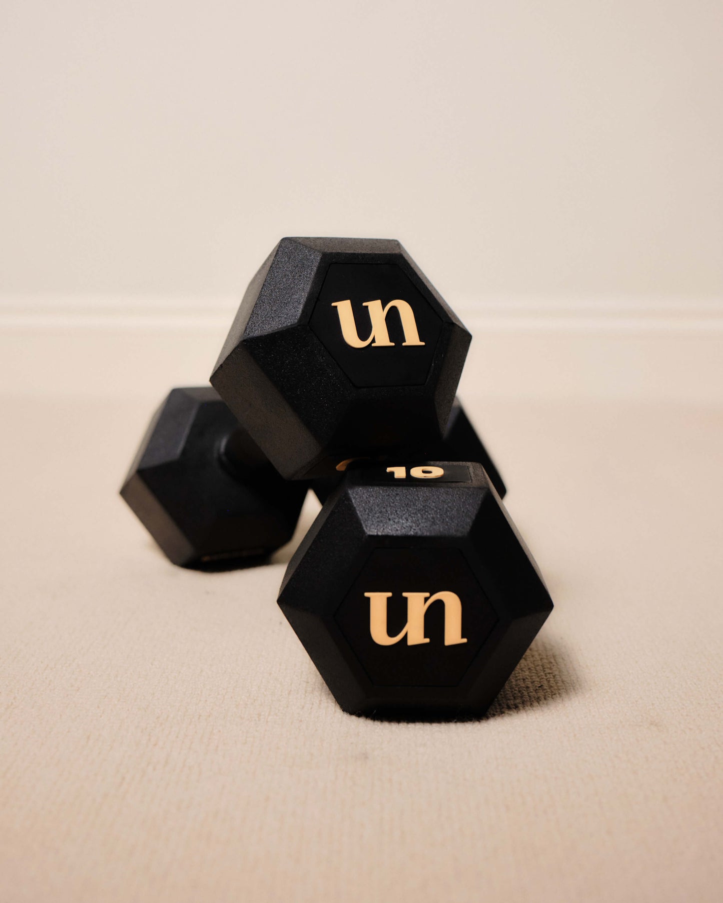 10kg (pair)