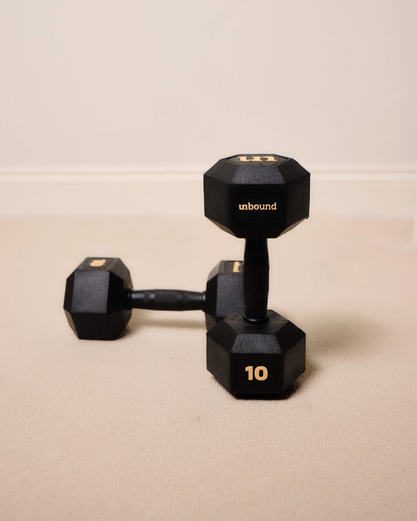 10kg (pair)