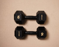 10kg (pair)