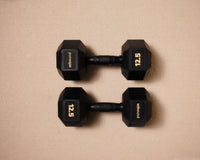 12.5kg (pair)