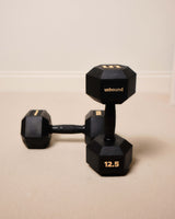 12.5kg (pair)