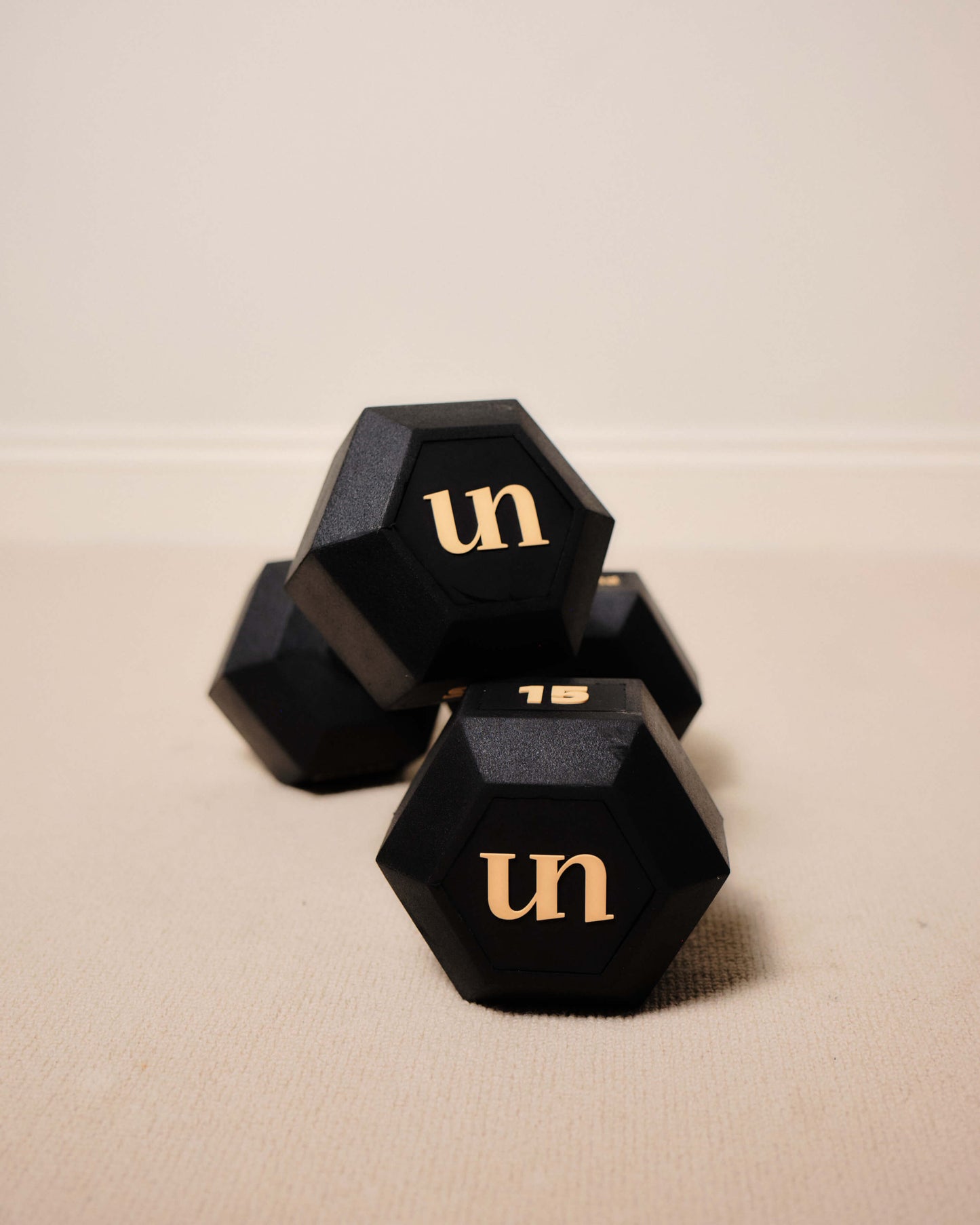 15kg (pair)