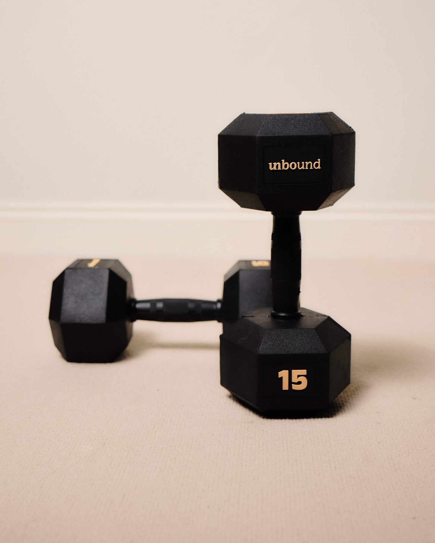 15kg (pair)