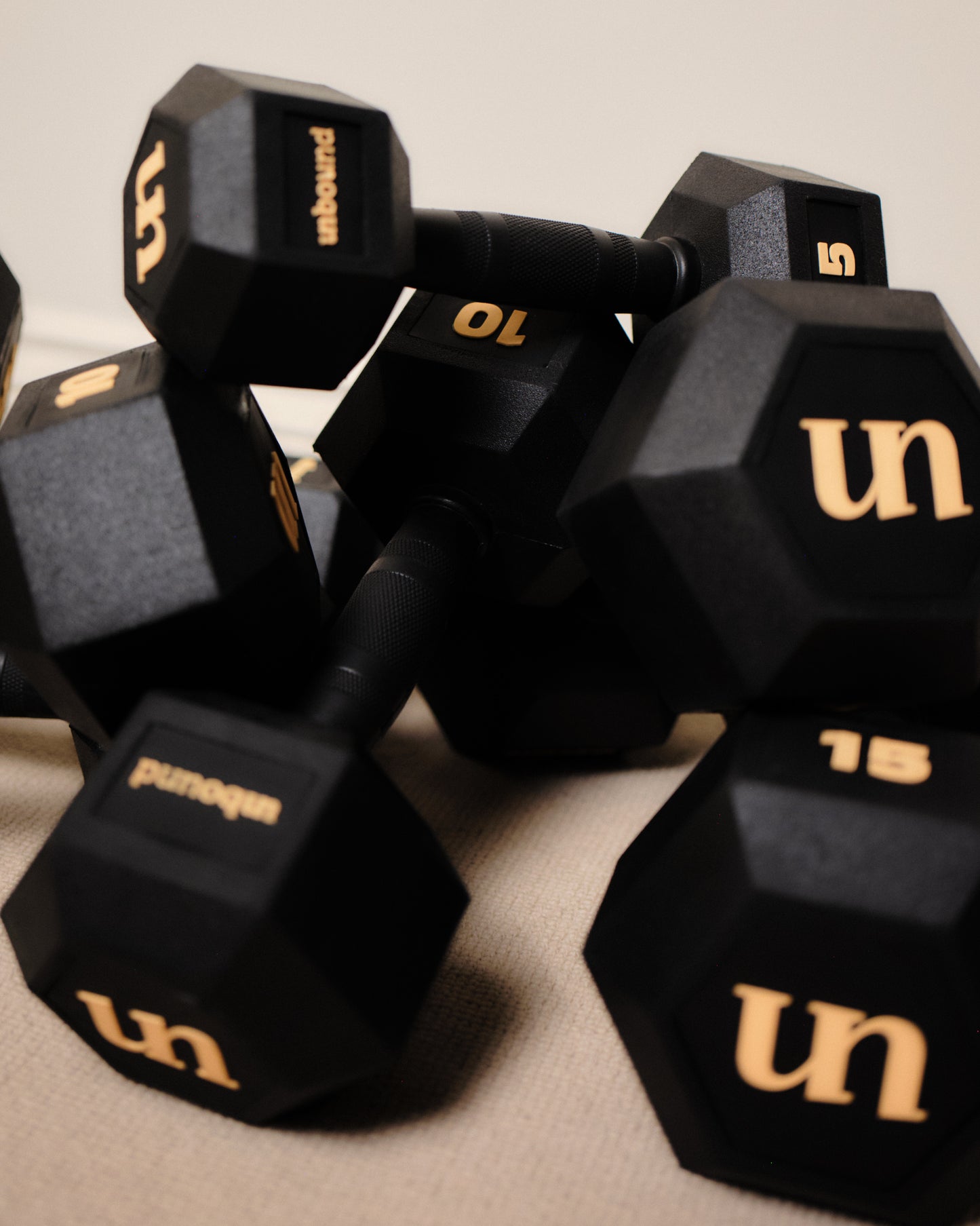 10kg (pair)